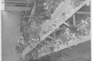 8B262425-738E-440B-910F-E7AA1B6AEBBB